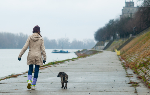 Woman walking a dog